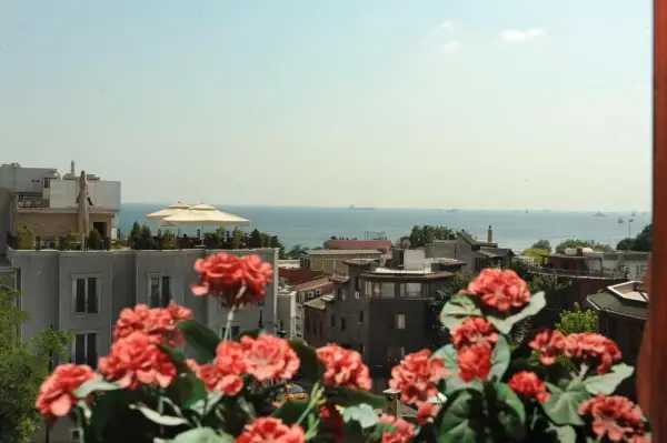 Hotel Coliseum 8